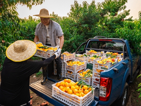 ծa(chn)JU6proMA棺(chung)·ϵʡ֮x