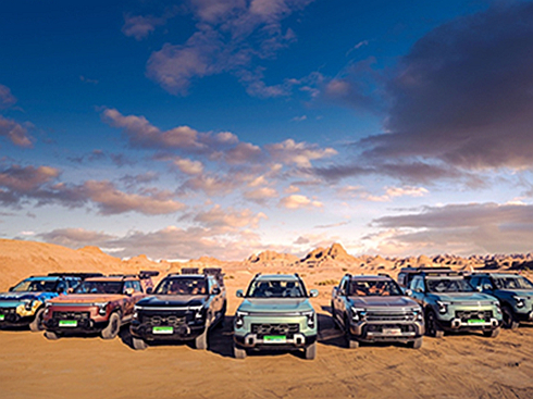 YGgծa(chn)Z9ӲLyƤrֵĽKOԇ