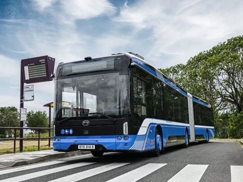 yȫW늄Ӵͼ壬ȁ2025r܇չ