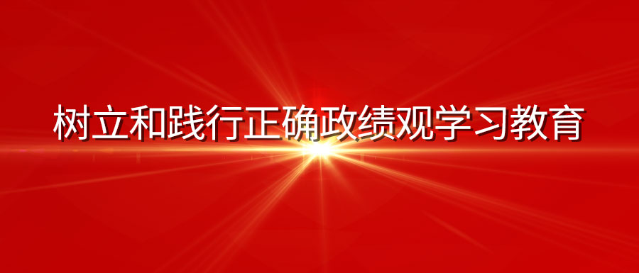 深入學習貫徹習近平總書記關(guān)于樹立和踐行正確政績觀的重要論述?黨的建設(shè)要務(wù)實為本